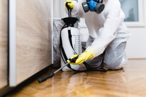 Best Flea Control Services  in Greensboro, GA