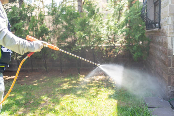Spider Control Near Me in Greensboro, GA