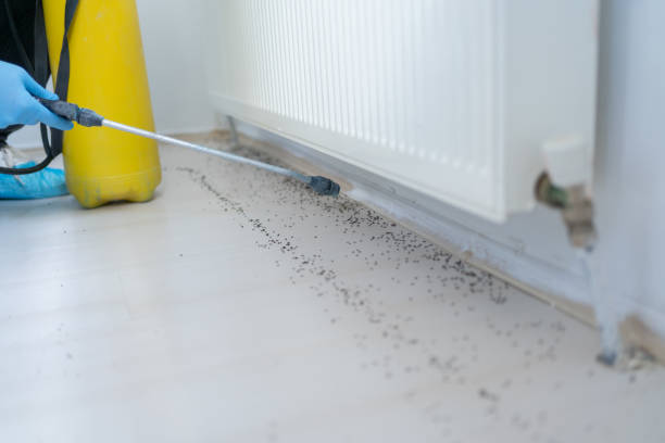 Best Pest Control Treatment  in Greensboro, GA