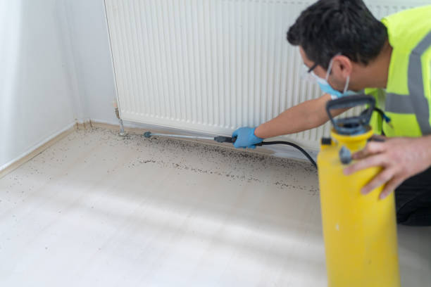 Best Affordable Pest Control Services  in Greensboro, GA