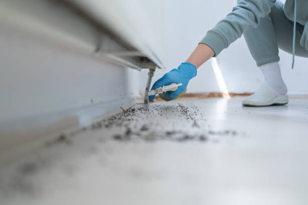 Best Flea Control Services  in Greensboro, GA